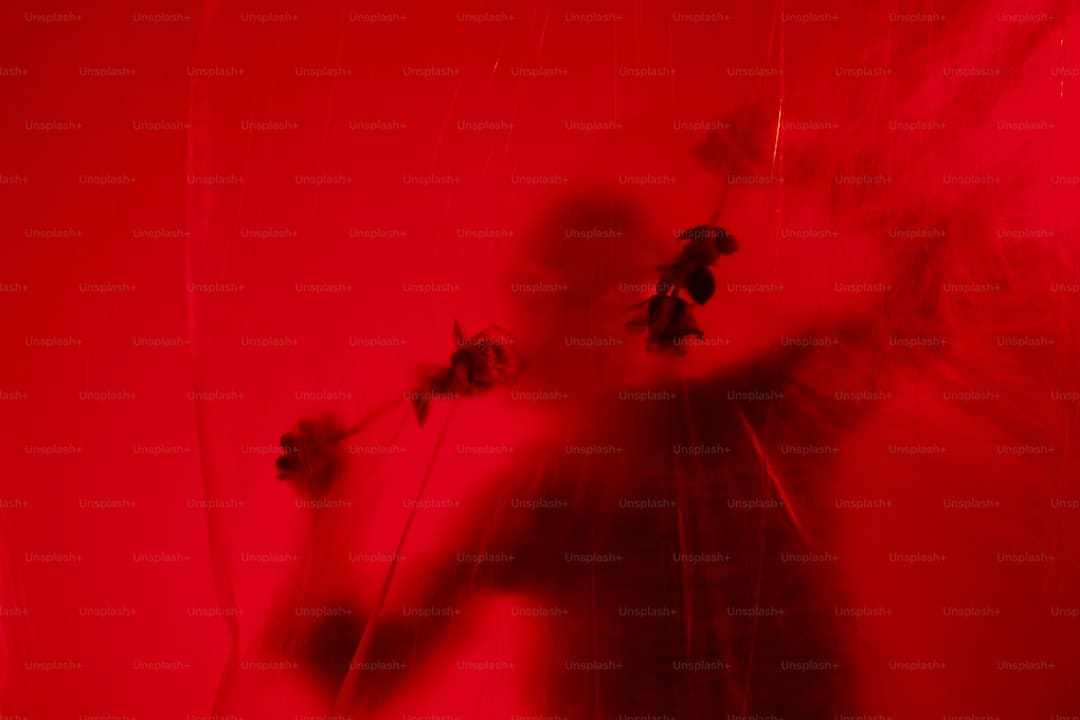 《麻花特高兴2》举行媒体看片会 节目主创现场“爆料”暗地故事